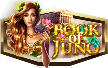 Slot game Book of Juno