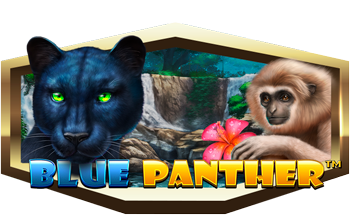 Slot igrica Blue Panther